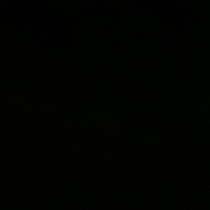 Meet your Posher, Lily